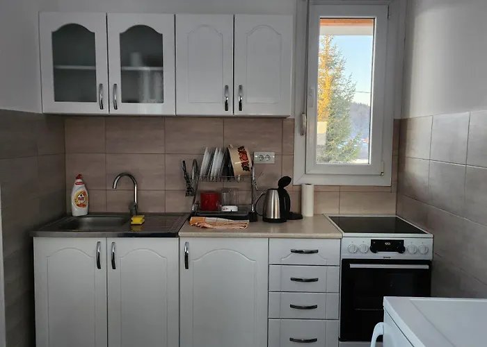 Kuca Sa Lepim Pogledom - Porodica Colovic * Rudno