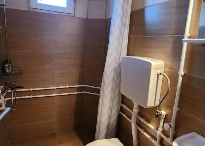 아파트 Kuca Sa Lepim Pogledom - Porodica Colovic Rudno